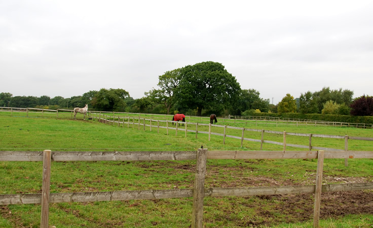 Dean Valley livery grazing and turnout facilities